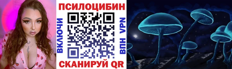 Псилоцибиновые грибы Psilocybe  где можно купить наркотик  блэк спрут ТОР  Челябинск 